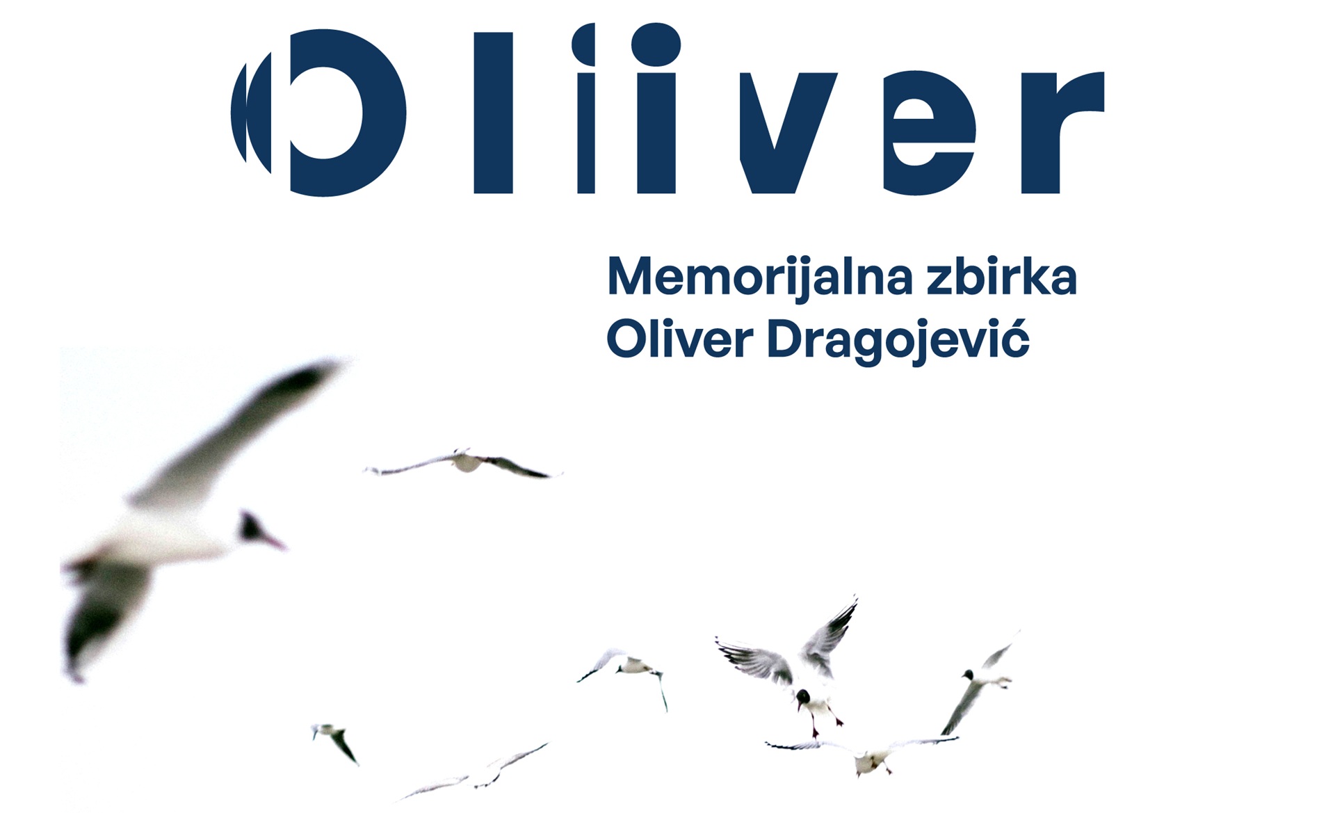oliverdragojevic.com